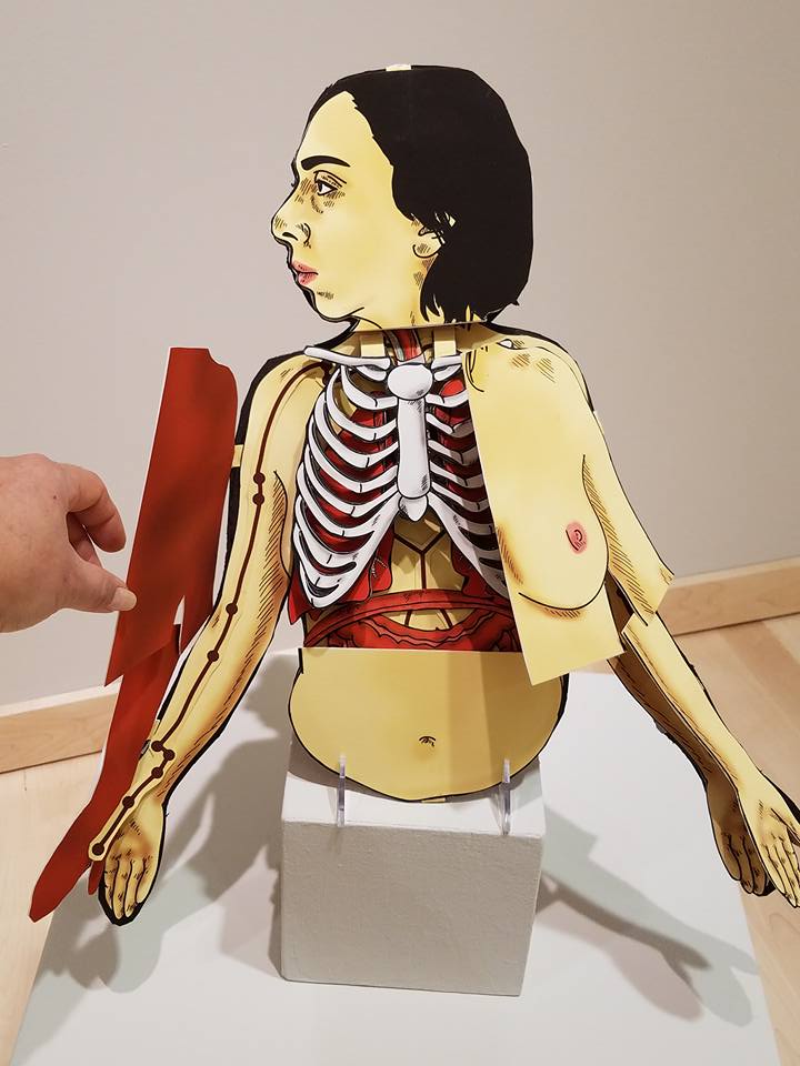 2015 Breath: Anatomical Flap Book