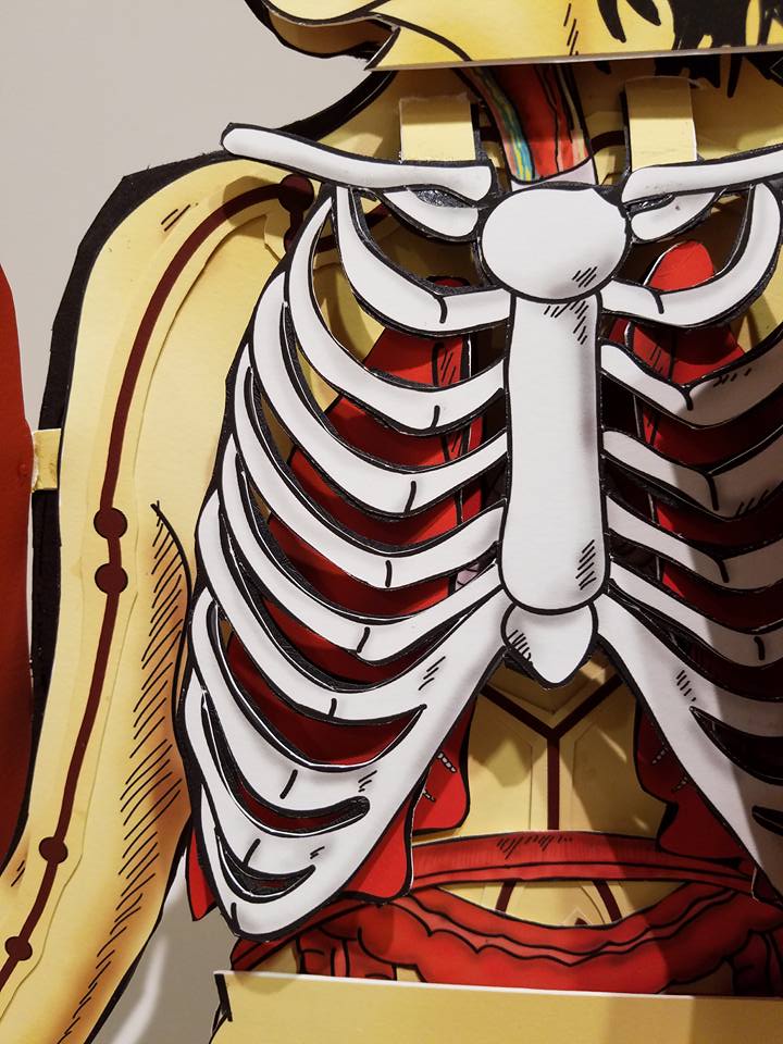 2015 Breath: Anatomical Flap Book