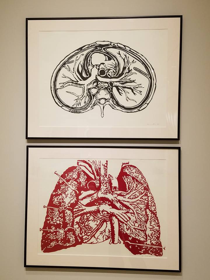 2015 Breath: Paper Cuts: Anatomical Cross-Sections