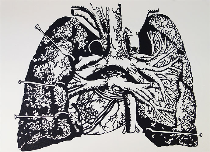 2015 Breath: Paper Cuts: Anatomical Cross-Sections