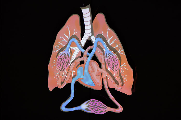 2015 Breath: Projected Animated Book