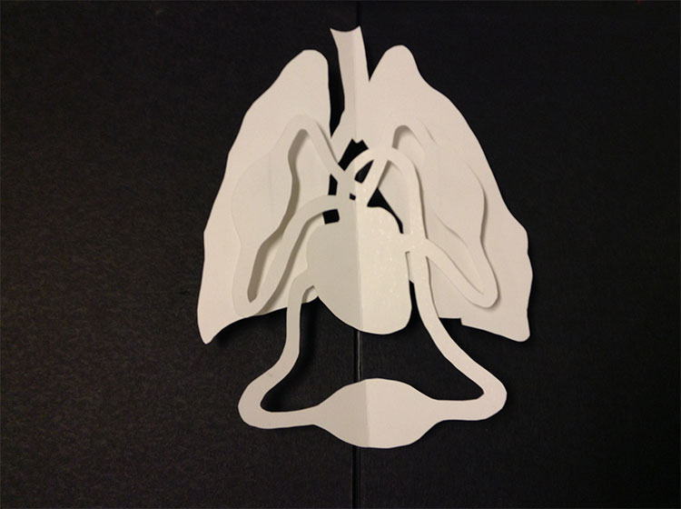 2015 Breath: Projected Animated Book