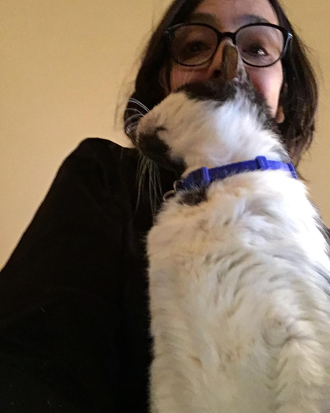 Home! And someone won’t let me do anything.