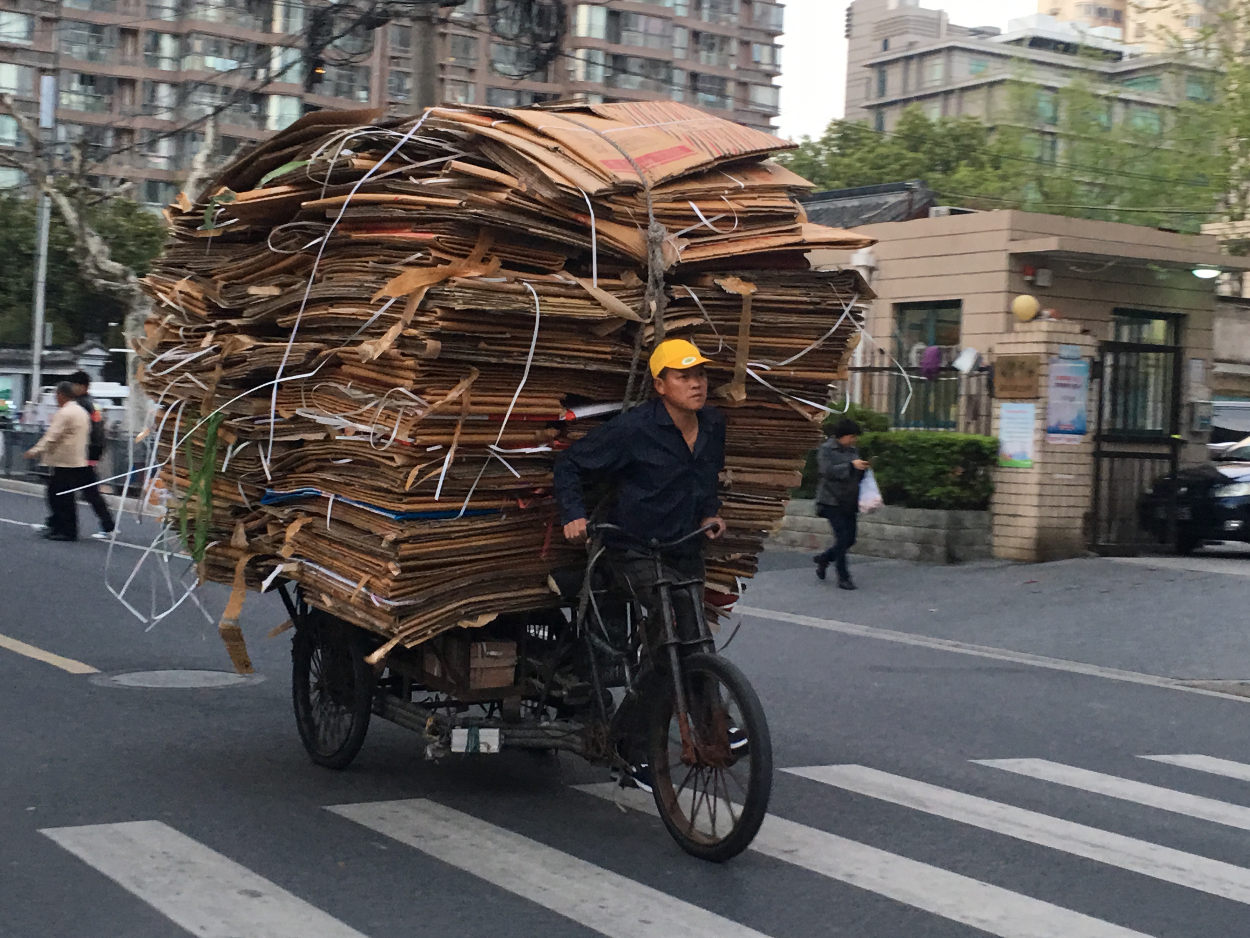 Enormous amounts of cardboard on a bicycle
