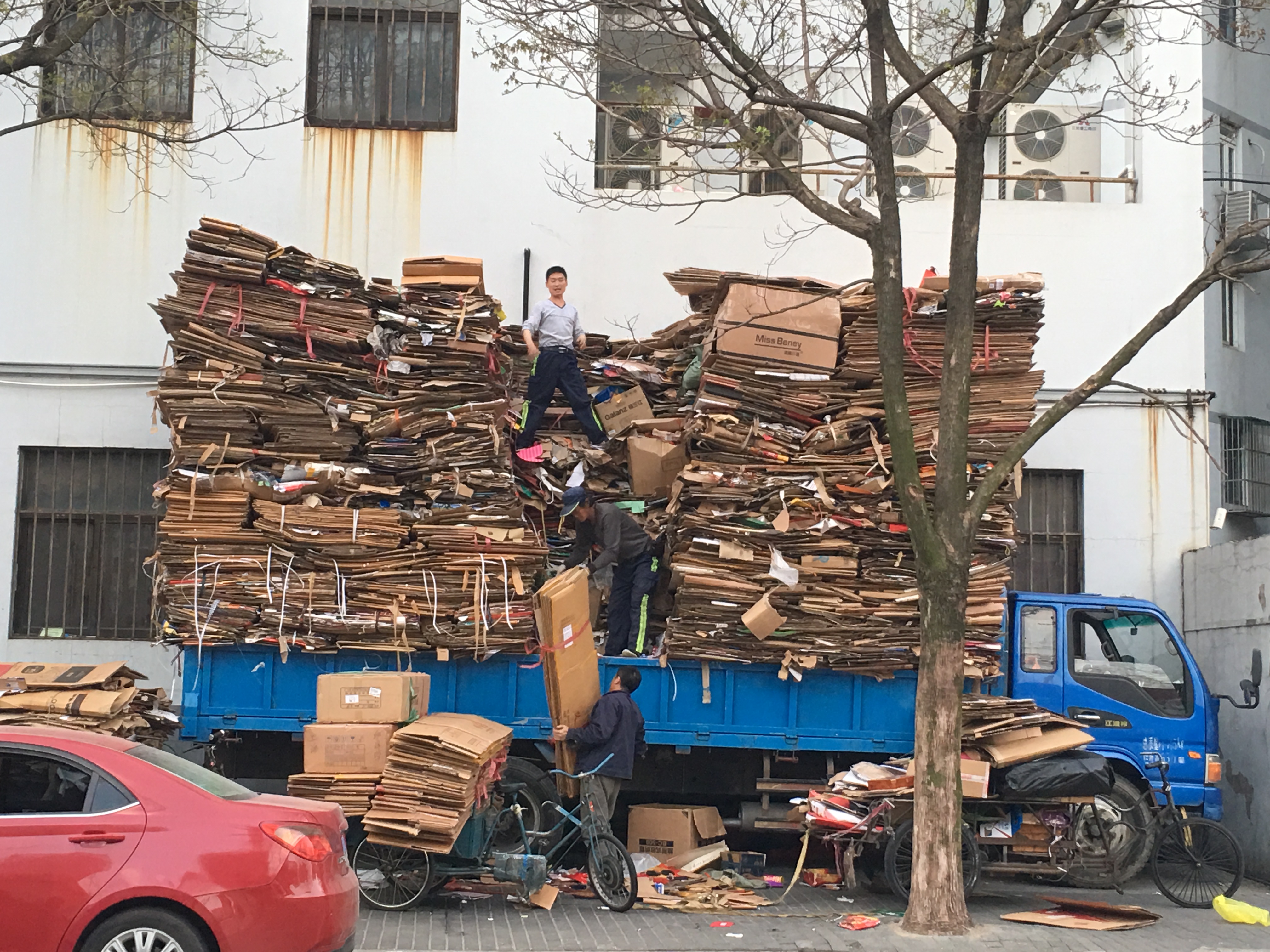 Loading enormous amounts of cardboard onto a truck
