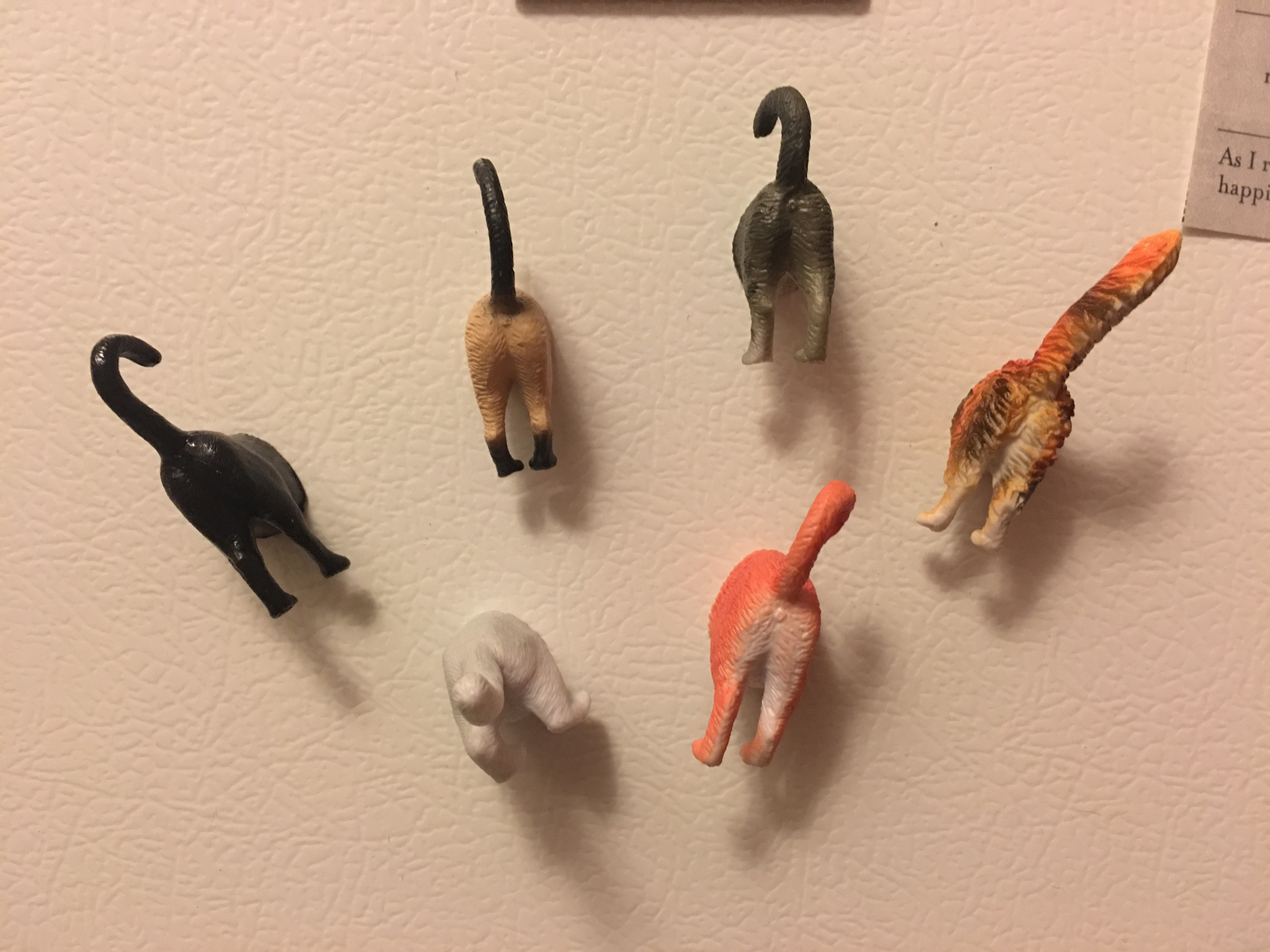 Cat butt magnets, ready to do the job. 