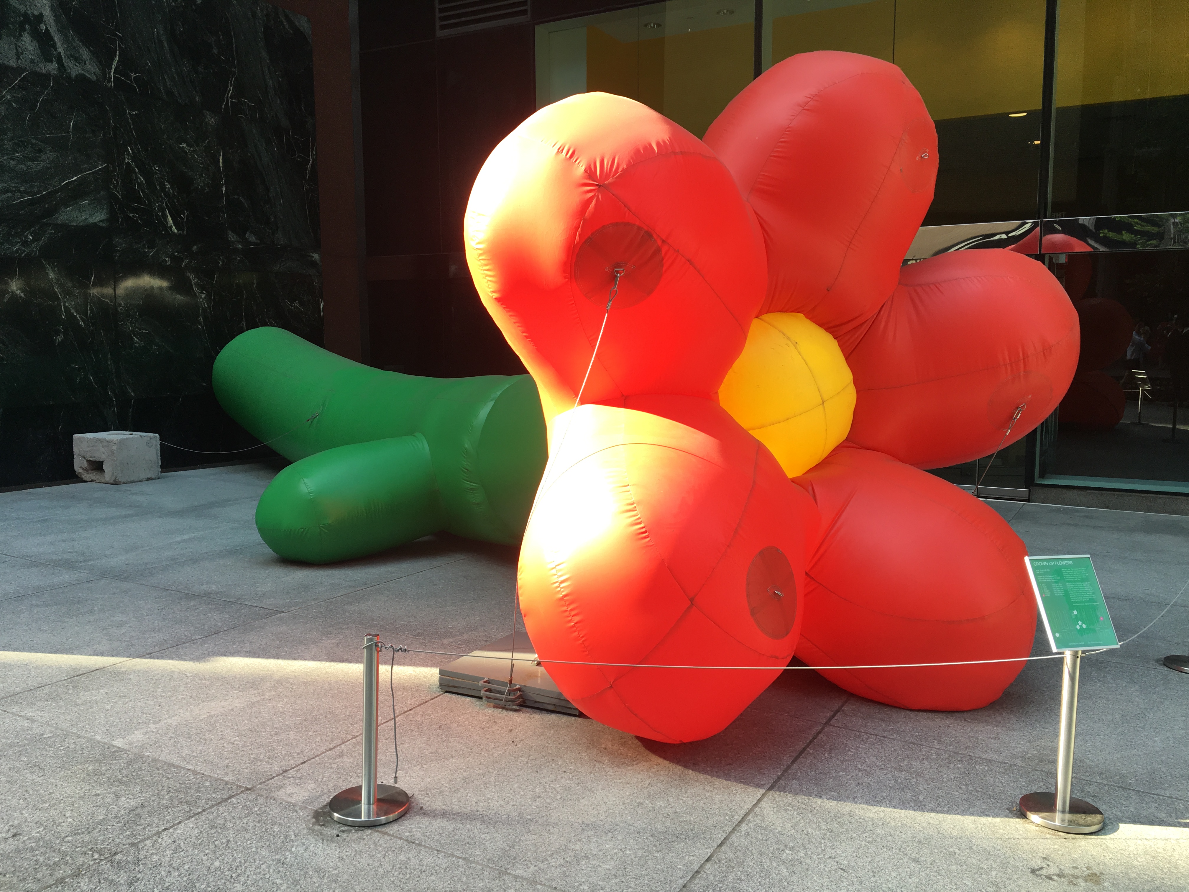 Grown Up Flowers: “Kerri”, Playlab Inc.