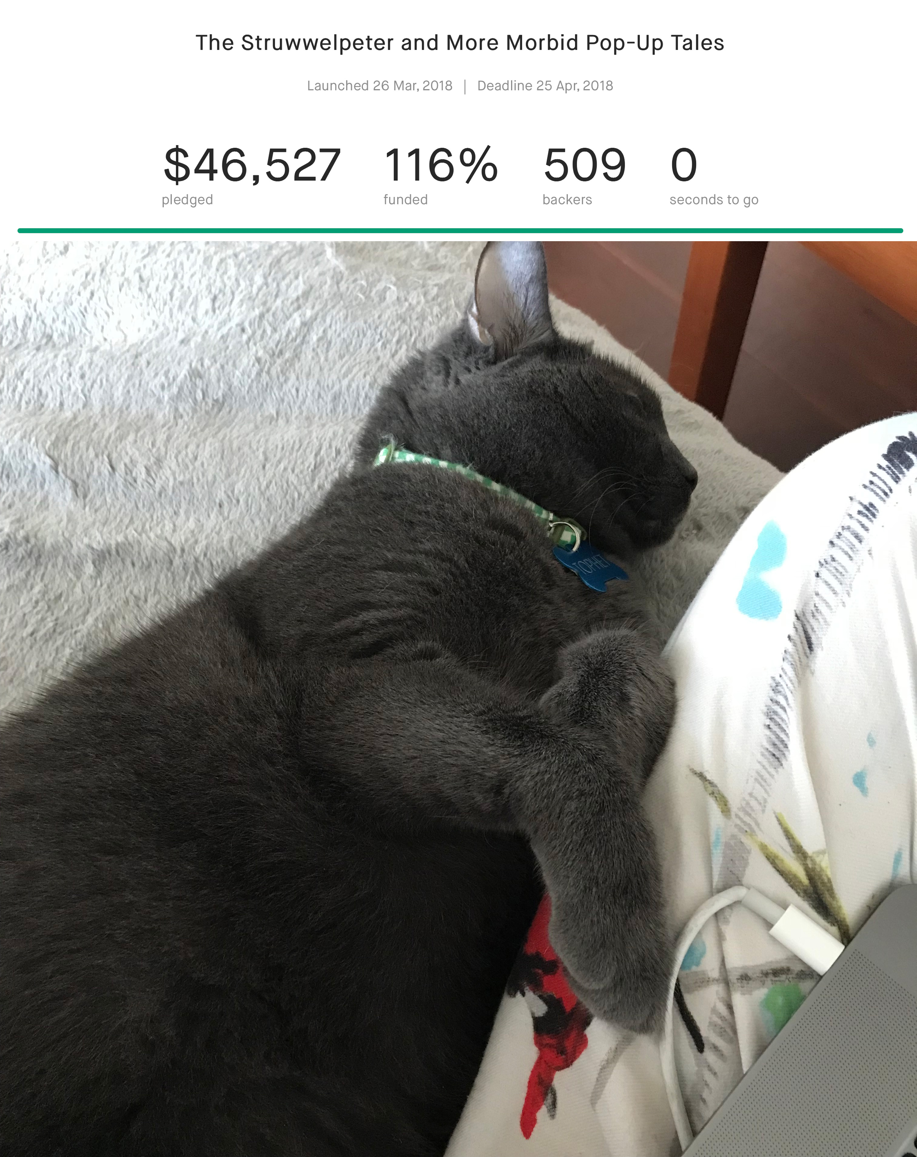 Kickstarter Complete at 116% and a sleepy cat