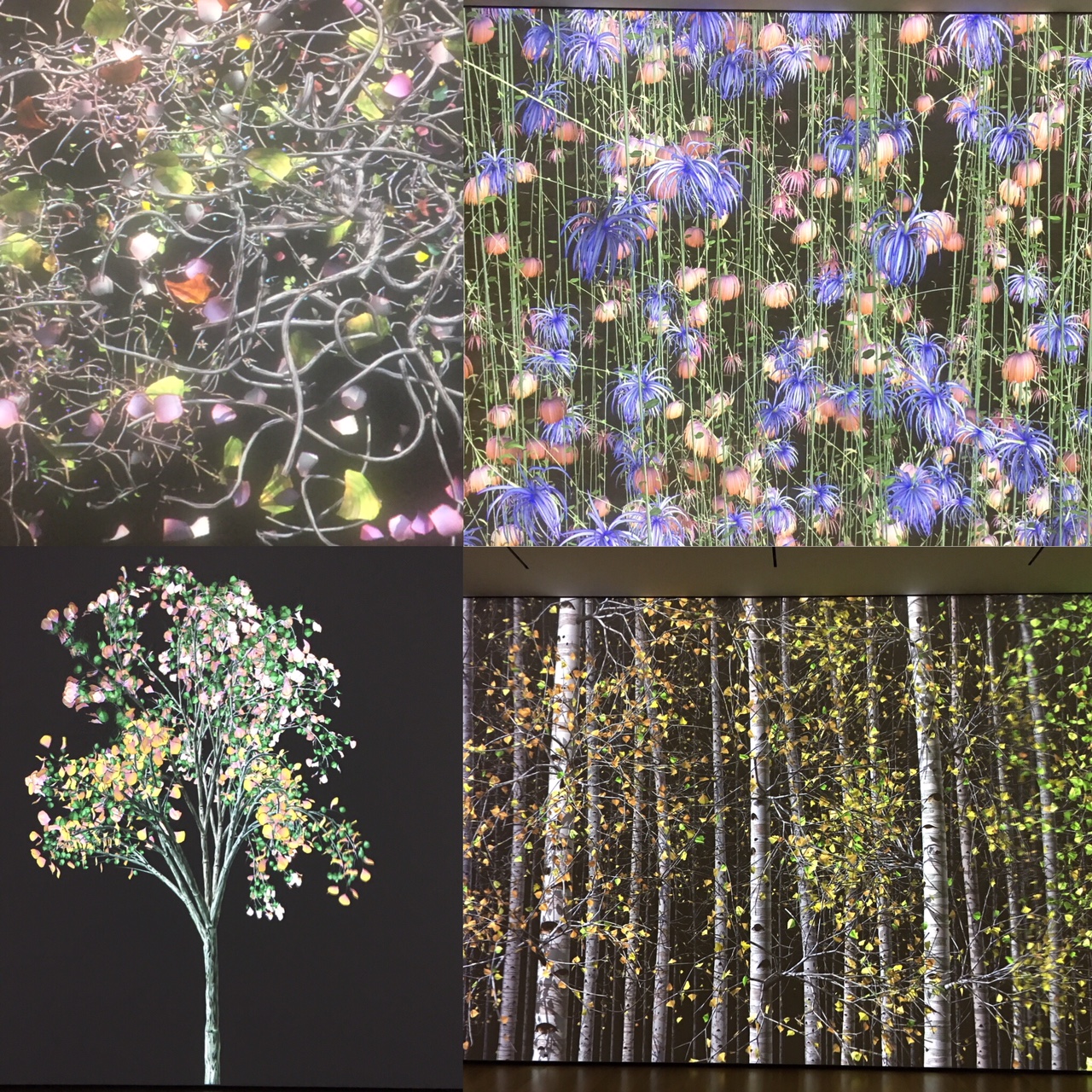 The Clark Museum: The Art of Iron | Women Artists in Paris 1850-1900 | Jennifer Steinkamp: Blind Eye