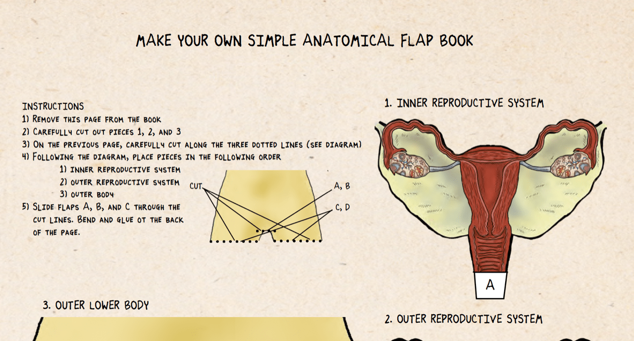 Five weeks from today I’ll be launching the “Our Hysterectomies” project, a Crowdrise campaign to benefit Planned Parenthood, wherein all donations (regardless of donation amount) will receive a copy of the “Our Hysterectomies” e-book, which contains the illustrated first-person accounts of 16 women who have had hysterectomies, oophorectomies, myomectomies and more. The downloadable book contains animation, as well as printable DIY papercraft including reproductive system coloring book pages, pop-ups, paper cuts, and more.  I am using this book as a fundraising tool to increase awareness and support access to services.