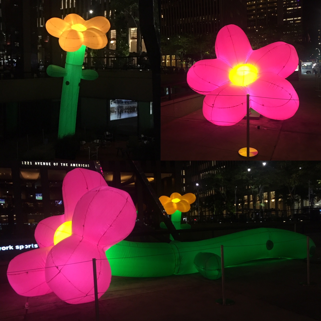 Glow in the dark inflatable flowers in midtown.