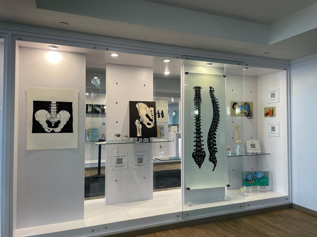 A view of a display case. To the left is a pop-up of a pelvis, femur, with hip implant. next to it are two long paper cuts, black cut out on white, views of the spine. Next to it are several pop-ups representing pain management. Two hands with surgical gloves administering an injection. A woman reclined receiving radiofrequency ablation. containers of medication. There are also 3D views of the spine.