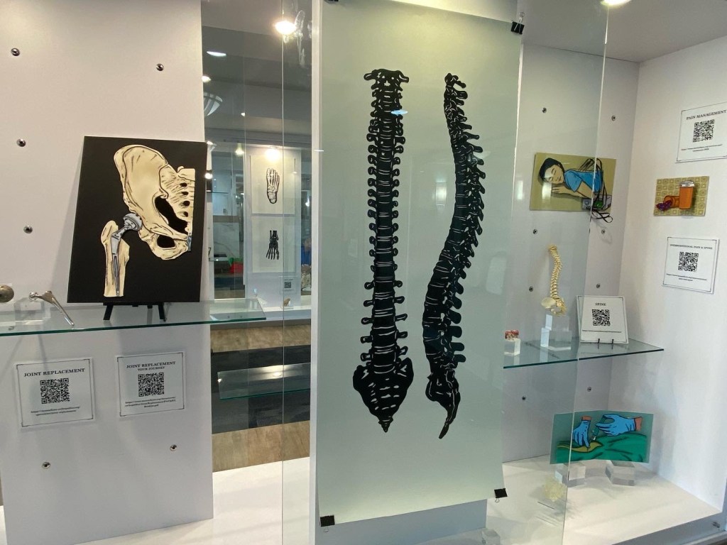 A view of a display case. To the left is a pop-up of a pelvis, femur, with hip implant. next to it are two long paper cuts, black cut out on white, views of the spine. Next to it are several pop-ups representing pain management. Two hands with surgical gloves administering an injection. A woman reclined receiving radiofrequency ablation. containers of medication. There are also 3D views of the spine.