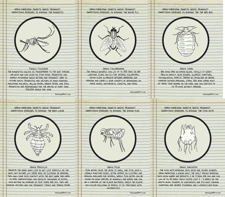 Six postcards on ruled paper with illustrations of a Bed Bug, Body Louse, House Fly, Human Flea, Itch Mite, Mosquito, with descriptive text about what they do and diseases they cause